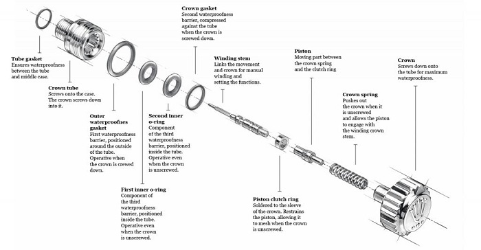 Rolex Triplock Schematic